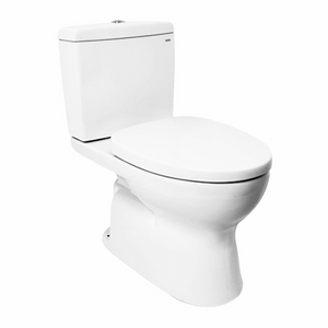 TWO-PIECE Watercloset Dual Flush Tank Trims (C320RE)