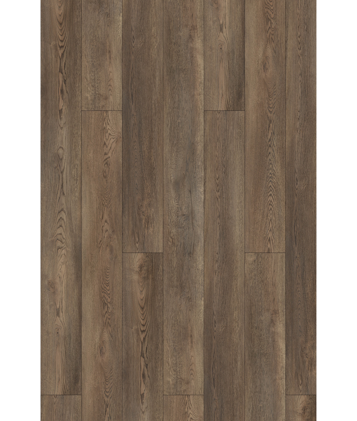 Carolina Oak (SPC)