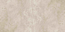 Load image into Gallery viewer, Kave Nut
