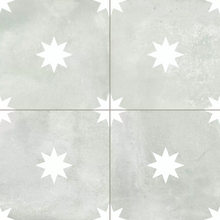 Load image into Gallery viewer, Star Sage
