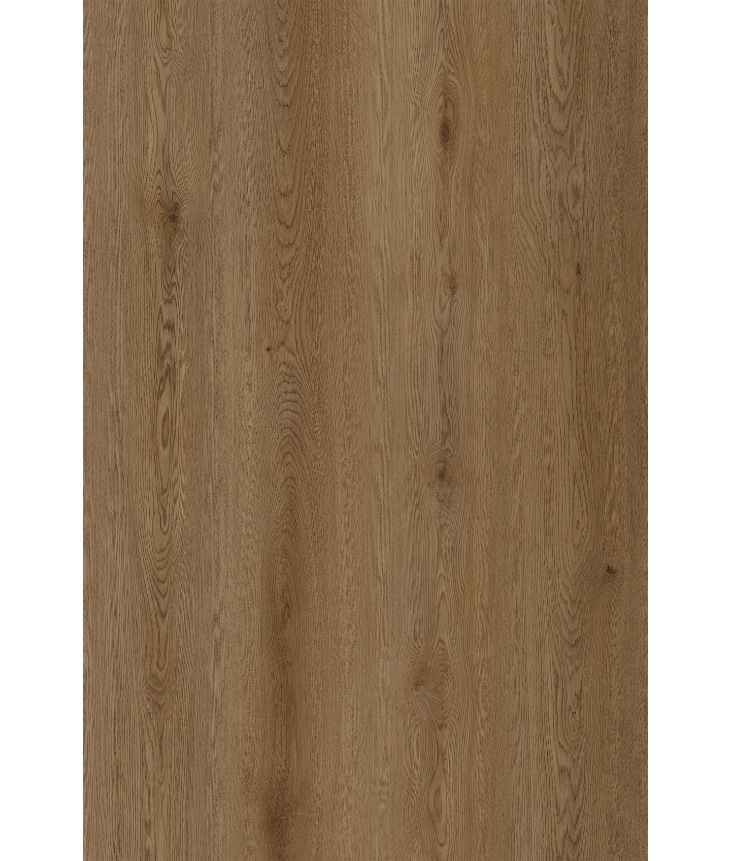Tesun Oak (SPC)